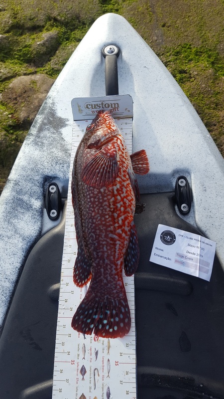 Fish Measure Picture
